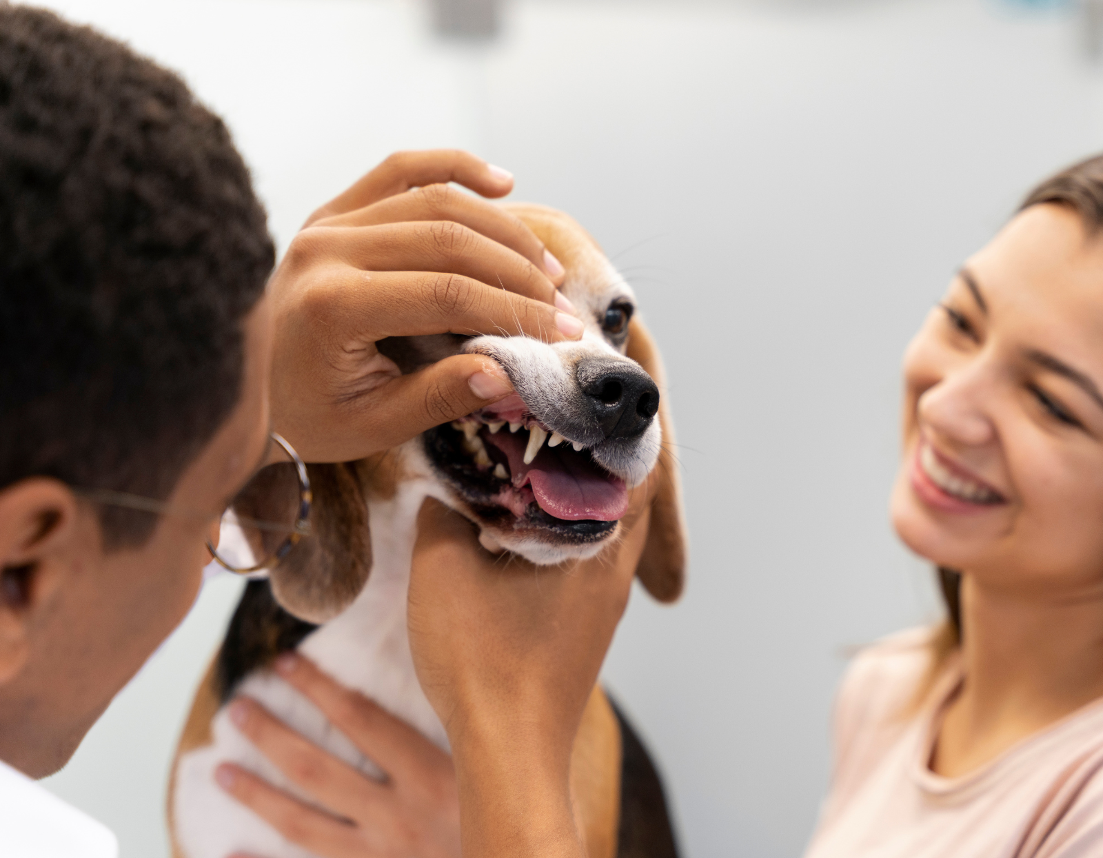 Dlaczego-pies-ma-nieswiezy-oddech