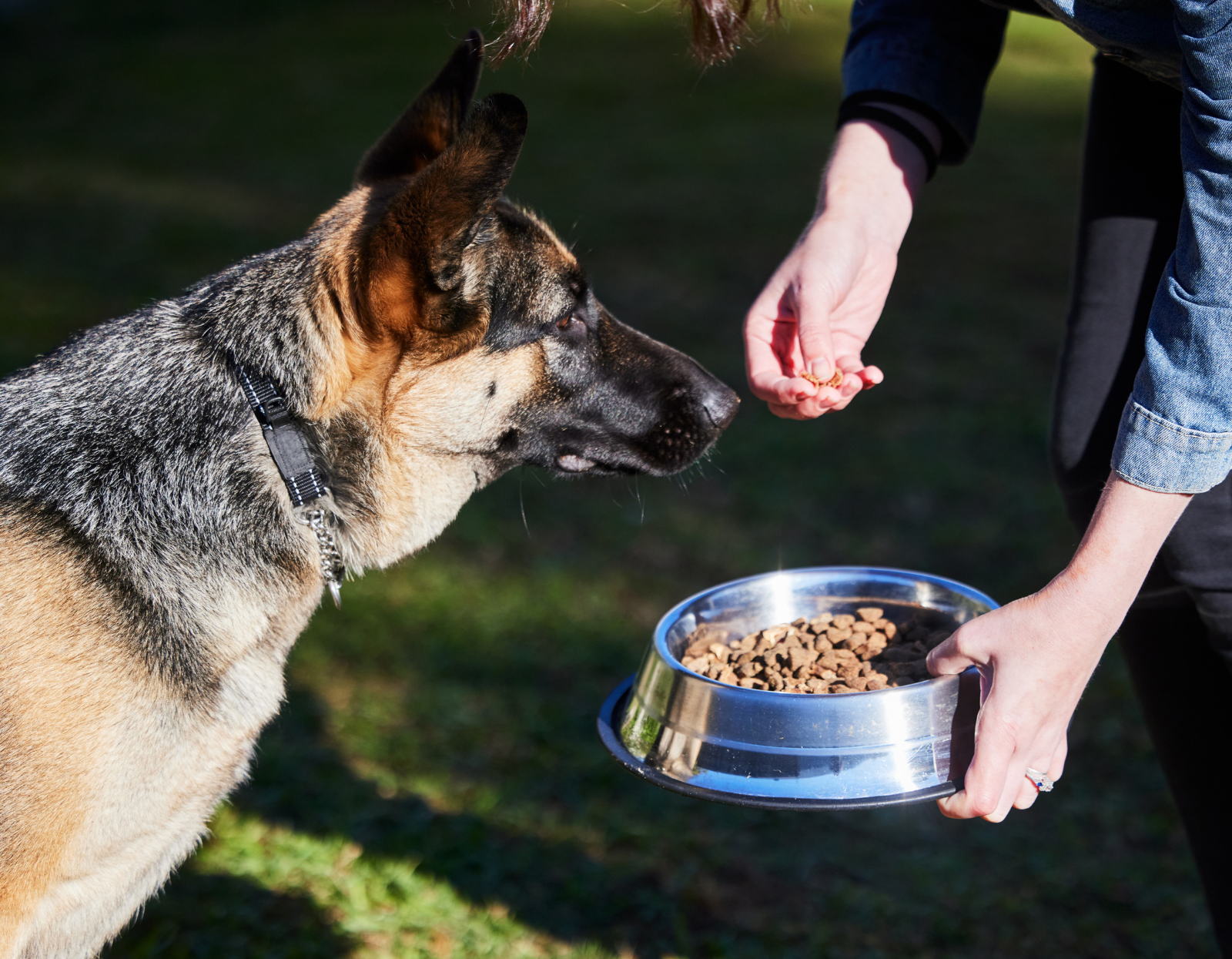 Jak-rozpoznac-ze-karma-nie-sluzy-Twojemu-psu