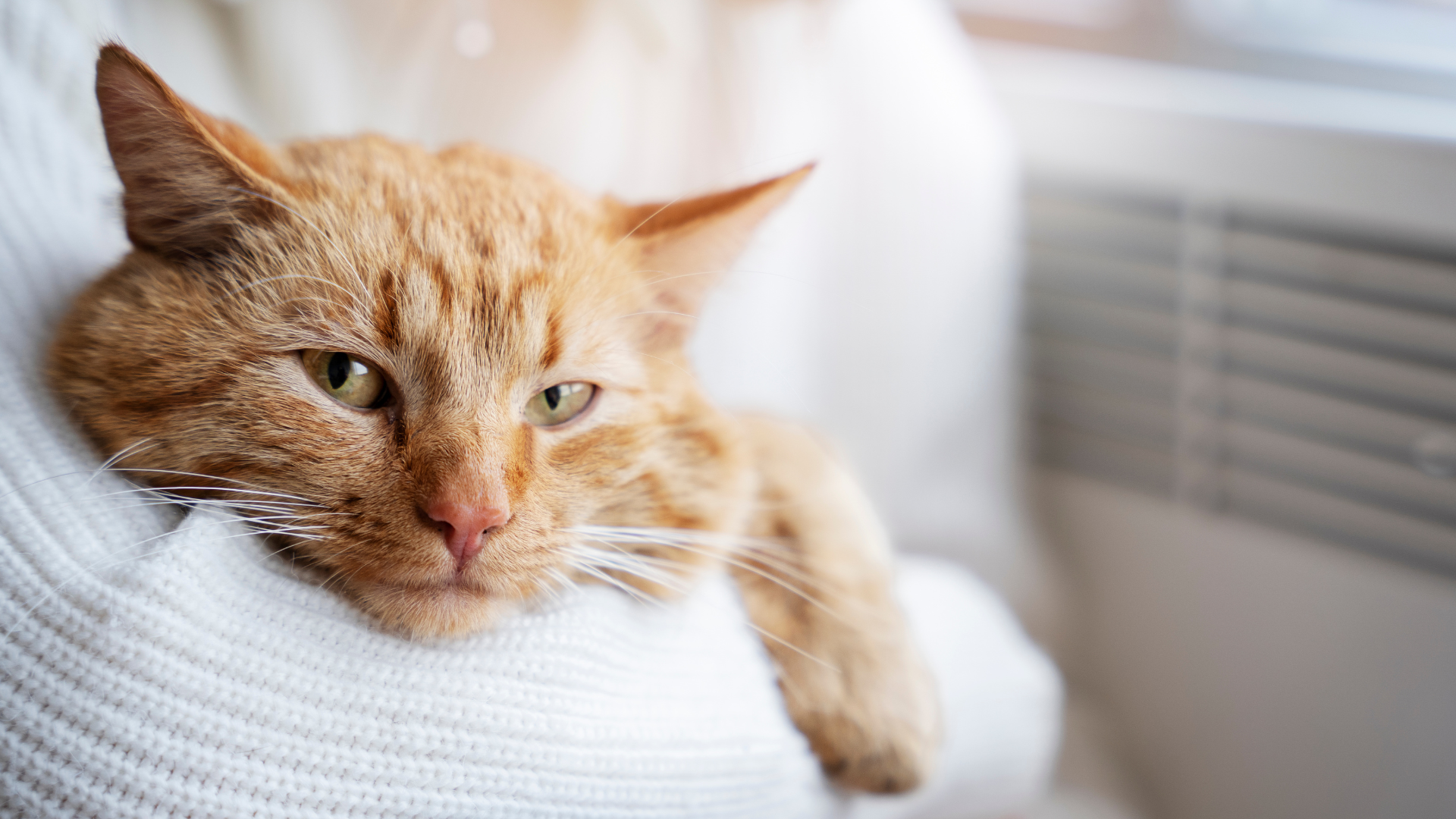 Projekt-bez-nazwy-_2_