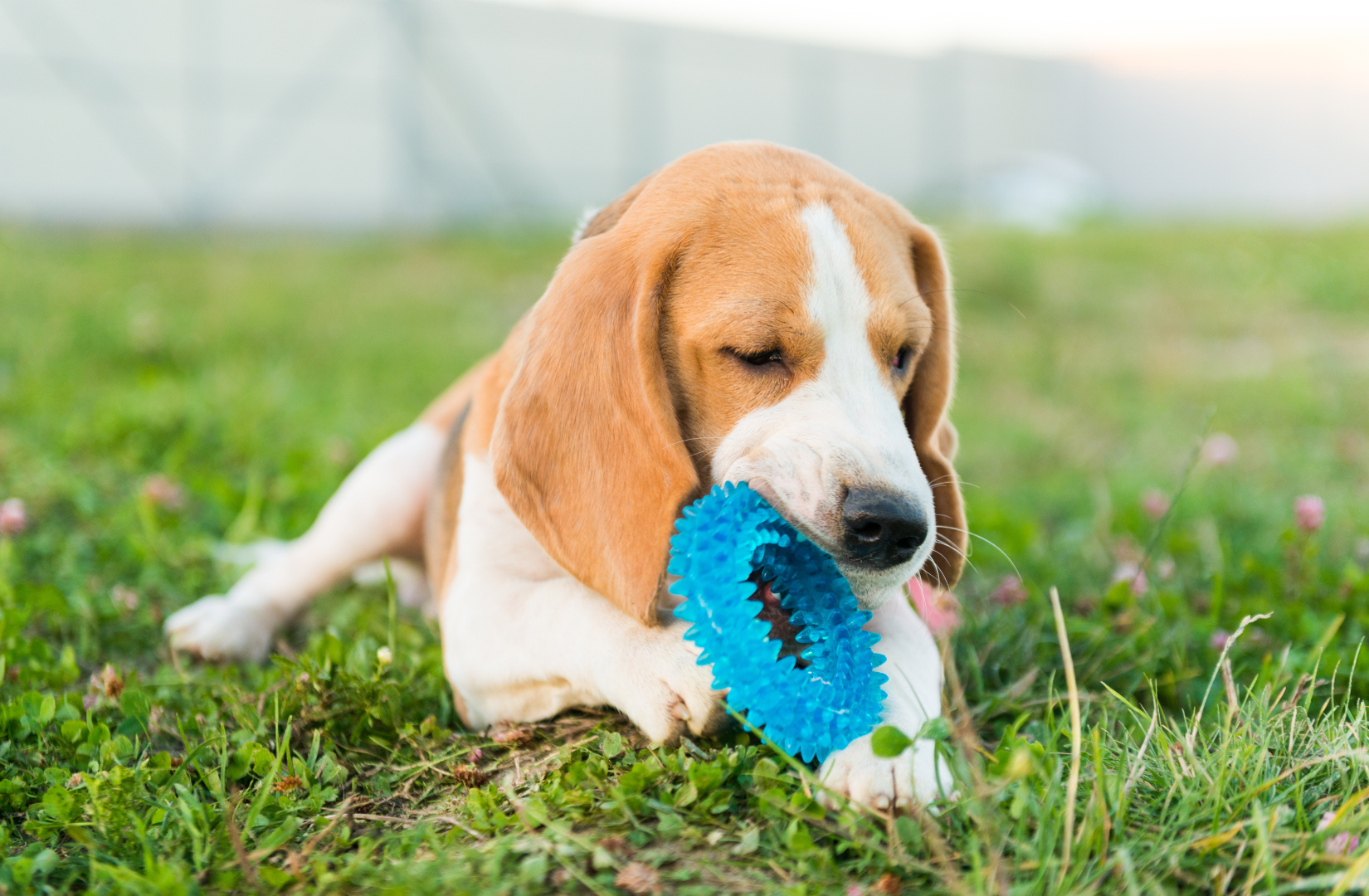 pomysly_na_zabawy_przy_ograniczonej_przestrzeni