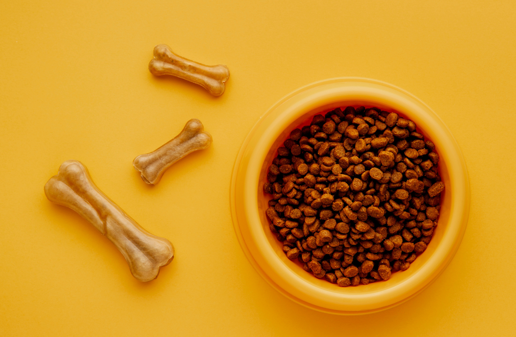 Naturalne_zywienie_psa_-_przewodnik_dla_swiadomych_opiekunow