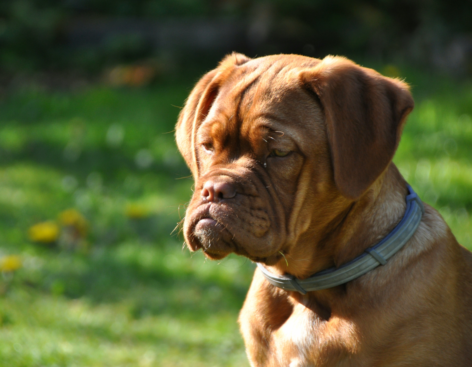  Projekt-bez-nazwy-_8_