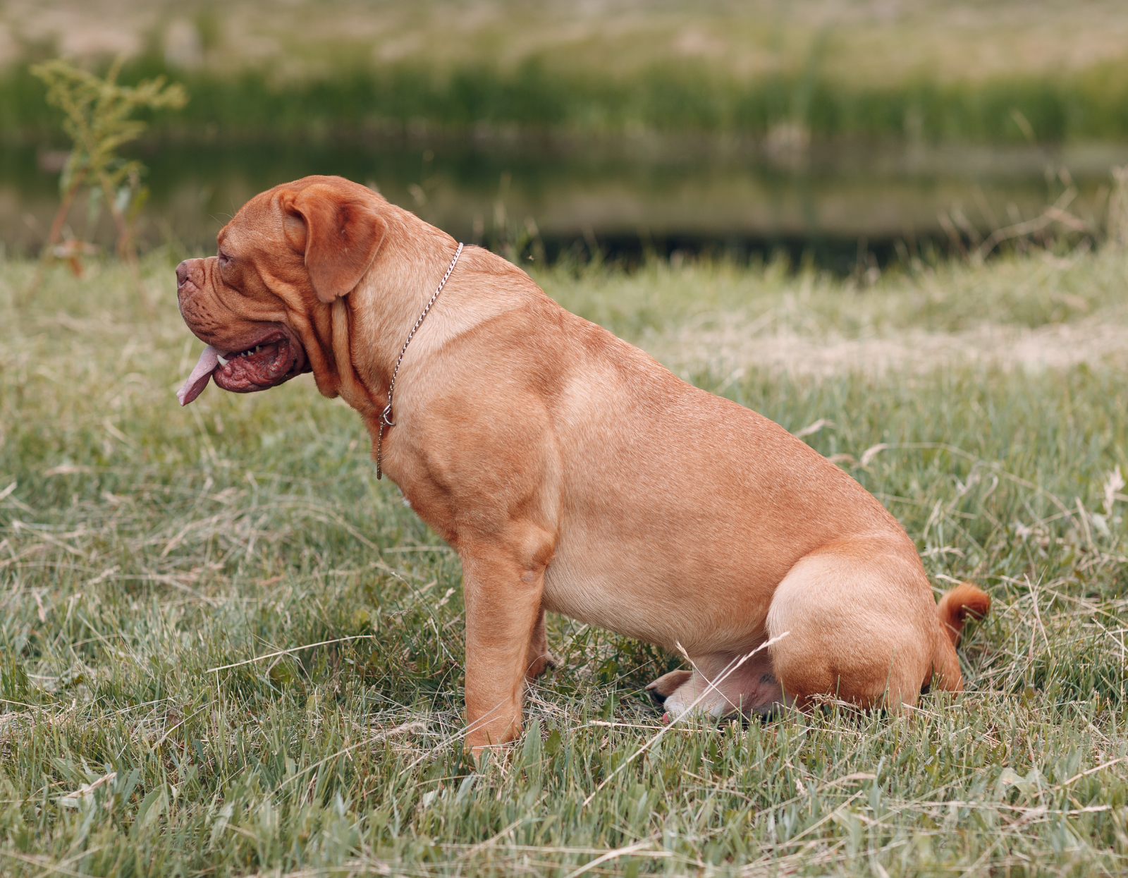  Projekt-bez-nazwy-_7_