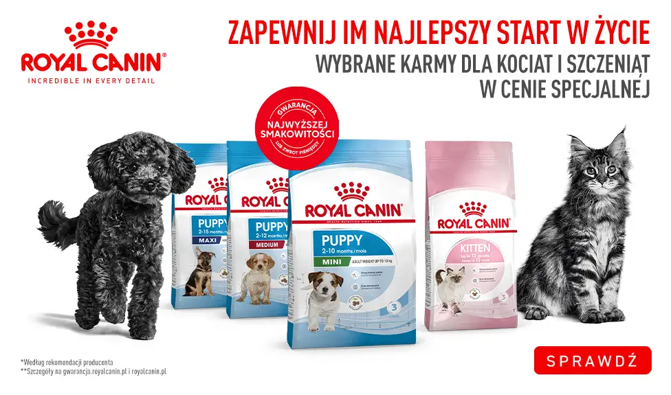Royal Canin karmy dla szczeniąt i kociąt