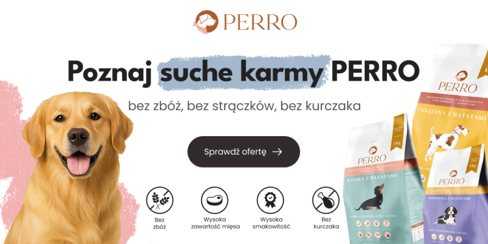 Perro sucha karma dla psa