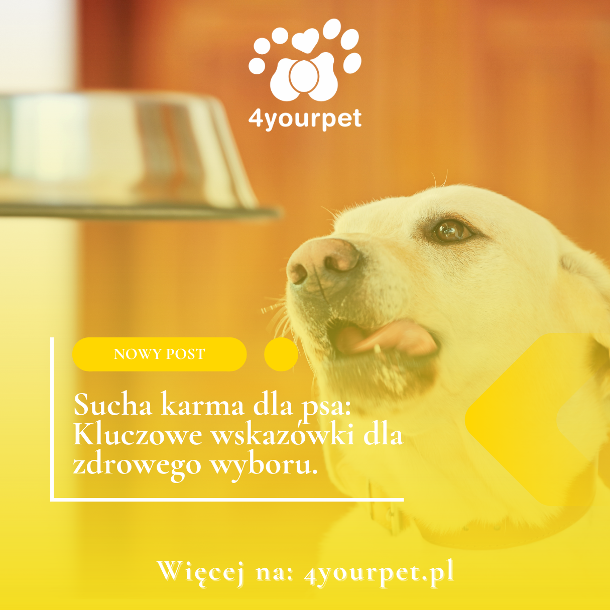 Sucha karma dla psa: Kluczowe wskazówki dla zdrowego wyboru.