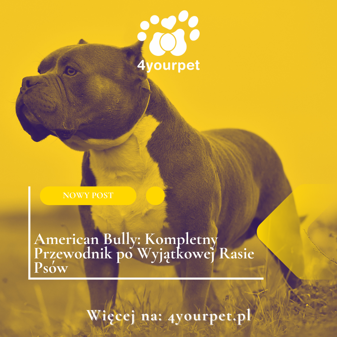 American Bully: Kompletny Przewodnik po Wyjątkowej Rasie Psów