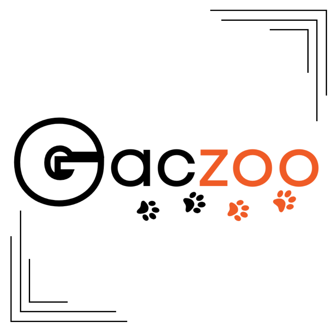 Gaczoo – Naturalne Przysmaki dla Psa | Zdrowe i Bezpieczne Smakołyki dla Twojego Pupila