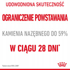 ROYAL CANIN Feline Care Nutrition Relaunch - Dental Care - Dry 3,5 kg