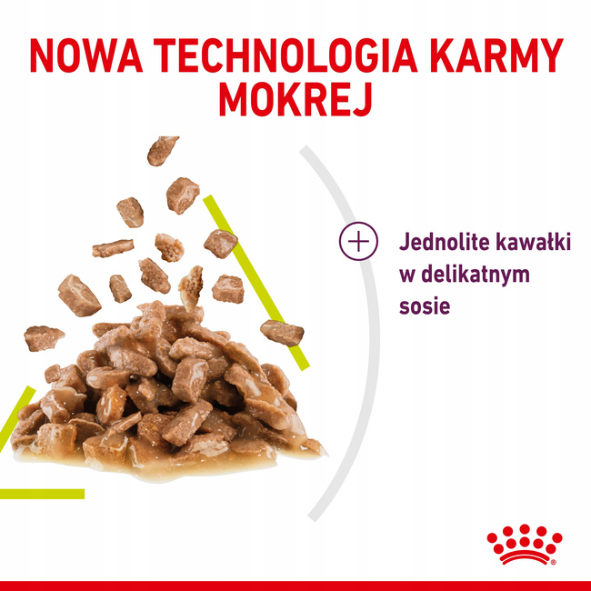 ROYAL CANIN Sensory Smell karma mokra dla kotów dorosłych 12 x 85 g
