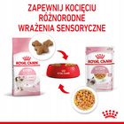 ROYAL CANIN Kitten Instinctive karma mokra w galaretce dla kociąt 12 x 85 g