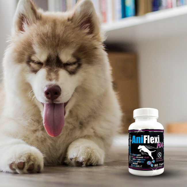 GAME DOG AniFlexi HA Suplement na stawy dla psa 80 tabletek