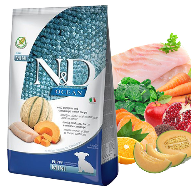 FARMINA N&D OCEAN zdrowa karma sucha dla psa Mini Puppy Dorsz 2,5kg