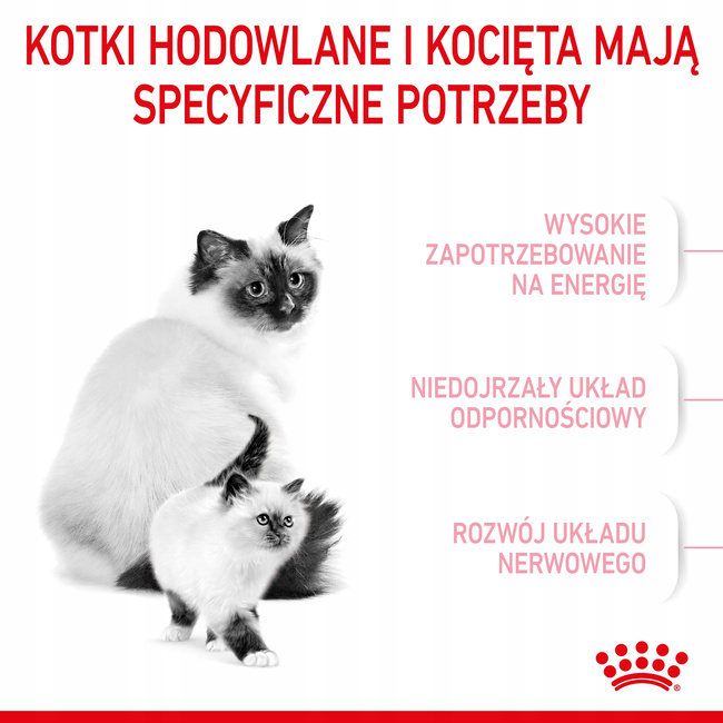 ROYAL CANIN Mother&Babycat karma sucha dla kotek w okresie ciąży 0,4 kg
