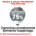 ROYAL CANIN CCN Maxi Dental Care karma sucha dla psów dorosłych 9 kg