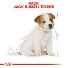 ROYAL CANIN Jack Russell Terrier Puppy karma sucha dla szczeniąt 3 kg