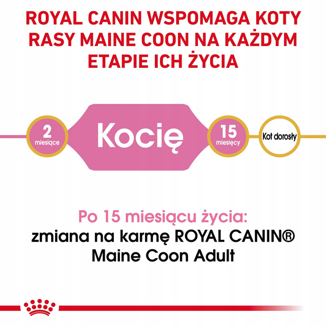 ROYAL CANIN Maine Coon Kitten karma sucha dla kociąt, do 15 miesiąca 10 kg