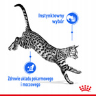 ROYAL CANIN Indoor Sterilised, karma mokra w sosie dla kotów 12 x 85 g