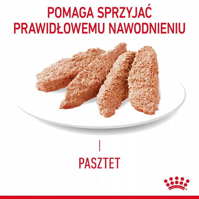 ROYAL CANIN Feline Care Nutrition - Digestive Care - Wet Loaf 12 x 85 g