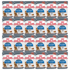 ROYAL CANIN Light Weight Gravy karma mokra w sosie dla kota 24 x 85g