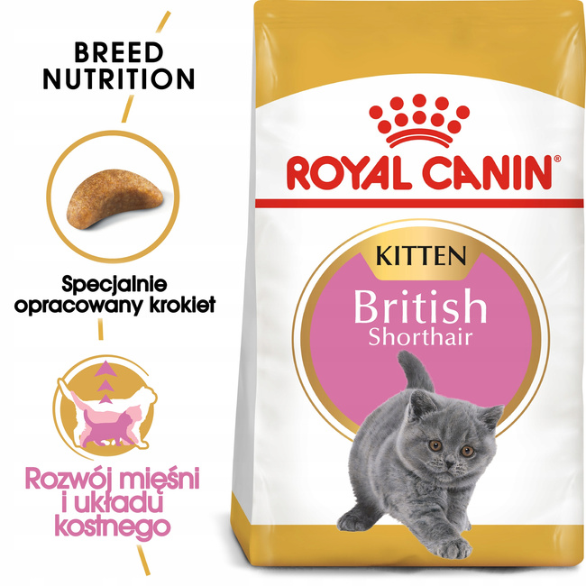 ROYAL CANIN British Shorthair Kitten karma sucha dla kociąt 0,4 kg