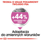 ROYAL CANIN CCN Medium Relax Care karma sucha dla psów dorosłych 10 kg