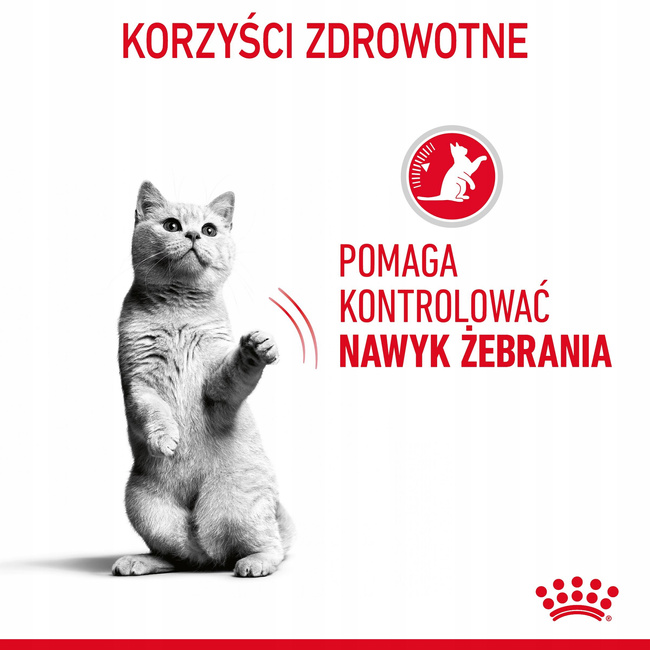 ROYAL CANIN Feline Care Nutrition - Appetite Control Care Gravy 12 x 85 g