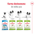 Royal Canin X - small Adult karma sucha dla psów dorosłych 0,5 kg