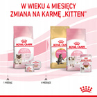 ROYAL CANIN Mother&Babycat karma sucha dla kotek w okresie ciąży 2 kg