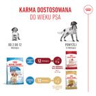 ROYAL CANIN Medium Puppy karma sucha dla szczeniąt 4 kg