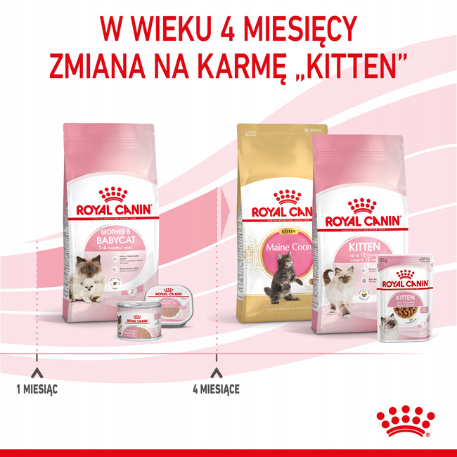 ROYAL CANIN Mother&Babycat karma sucha dla kotek w okresie ciąży 2 kg