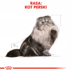 ROYAL CANIN Persian Adult karma sucha dla kotów dorosłych rasy pers 10 kg
