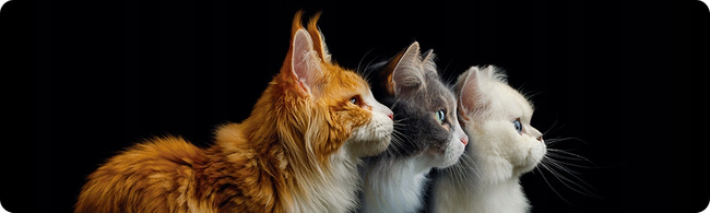 PET REPUBLIC Karma mokra dla kota Makrela 10 x 400g