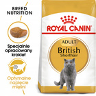 ROYAL CANIN British Shorthair karma sucha dla kotów dorosłych 10 kg