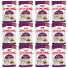 ROYAL CANIN Sensory Smell karma mokra dla kotów dorosłych 12 x 85 g