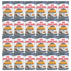 ROYAL CANIN Hair&Skin Jelly karma mokra w galaretce dla kota 24 x 85g