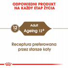 ROYAL CANIN Ageing +12 karma mokra dla kotów dojrzałych Jelly 12 x 85 g