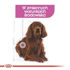 ROYAL CANIN CCN Medium Relax Care karma sucha dla psów dorosłych 10 kg