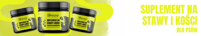 Suplement dla psa Gaczoo na Stawy i Kości 60 szt 180g zdrowy przysmak
