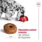 ROYAL CANIN Medium Ageing 10 + karma sucha dla psów dojrzałych 15 kg