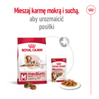 ROYAL CANIN Medium Ageing 10 + karma sucha dla psów dojrzałych 15 kg