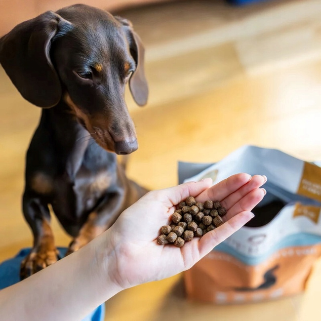 PERRO Karma sucha Wołowina z batatami dla psów dorosłych małych ras 3 kg