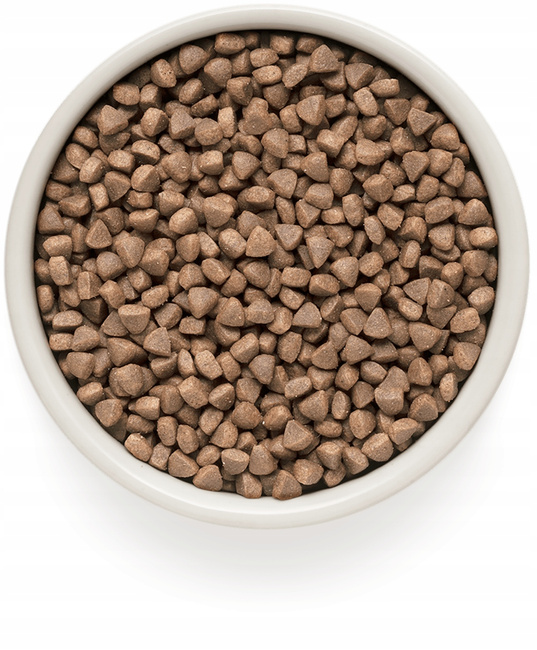 GRANDORF SKIN & CARE Adult Karma sucha dla kota Białoryby 400g