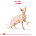 ROYAL CANIN Sphynx Adult karma sucha dla kotów dorosłych rasy sfinks 2 kg