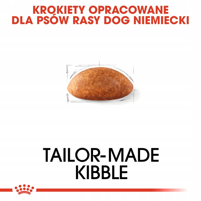 ROYAL CANIN Great Dane Adult karma sucha dla psów dorosłych 12 kg