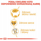 ROYAL CANIN Ragdol Adult karma sucha dla kotów dorosłych 10 kg