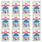 ROYAL CANIN Indoor Sterilised, karma mokra w sosie dla kotów 12 x 85 g