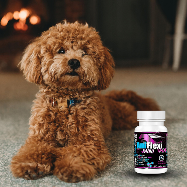 GAME DOG AniFlexi HA MINI suplement na stawy dla psów małych ras 120 tab