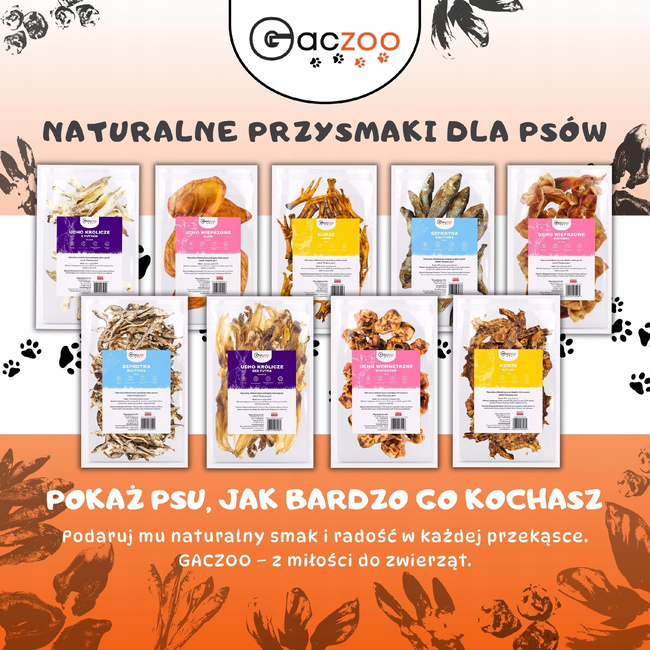 GACZOO 100% Naturalny przysmak dla psa Ucho Wieprzowe rozmiar M 10 szt gryzak