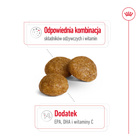 Royal Canin X-small Adult 8+ karma sucha dla psów dojrzałych 1,5 kg